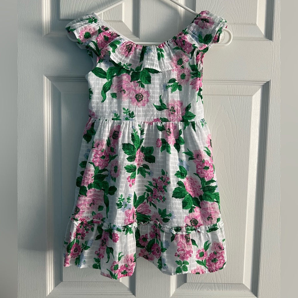 Janie and Jack Pink and Green Floral Dress